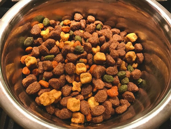 Croquettes chien sans céréales : offrez une alimentation saine et équilibrée